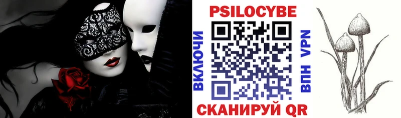 Купить  Макаров  Галлюциногенные грибы Cubensis 